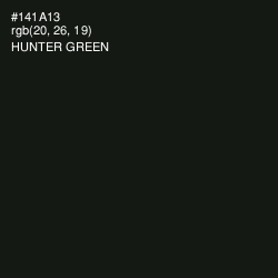 #141A13 - Hunter Green Color Image